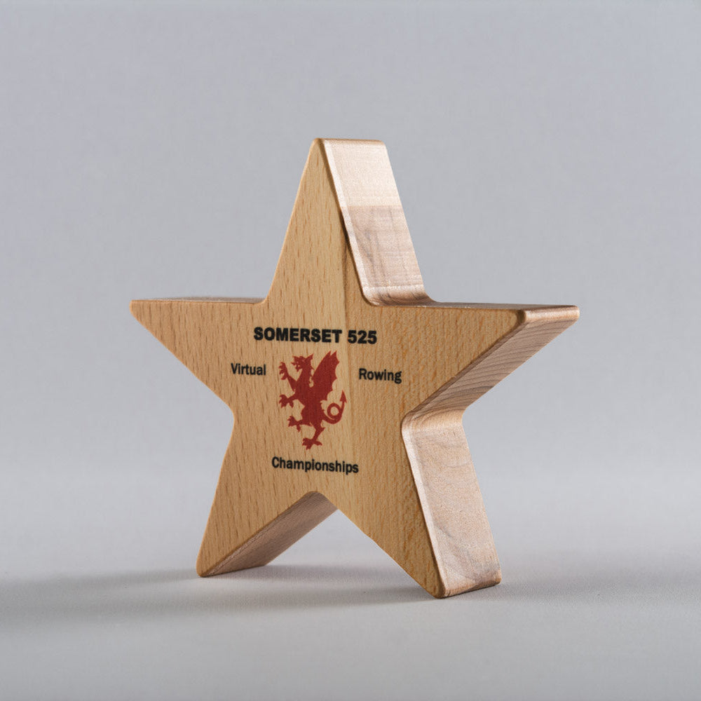 Wooden star-shaped award with printed text on a gray background