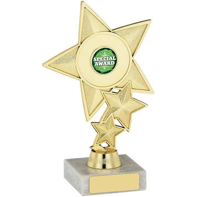 7" Star Trophy Holder - Order Online